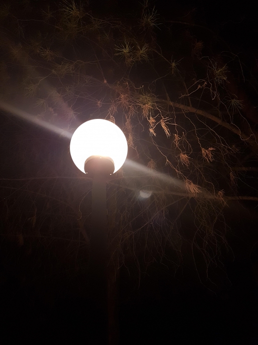 gece ve müzik