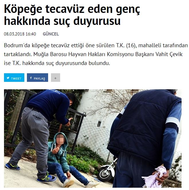 köpeğe tecavüz eden 16 yaşındaki genç