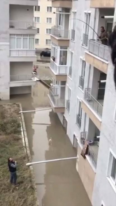 edirnede olta ekmek