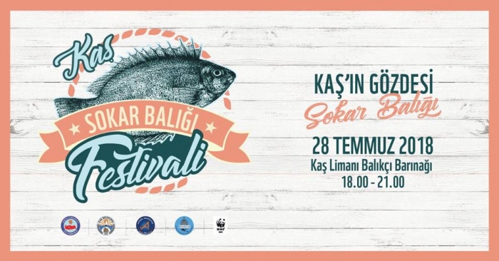 kaş sokar balığı festivali