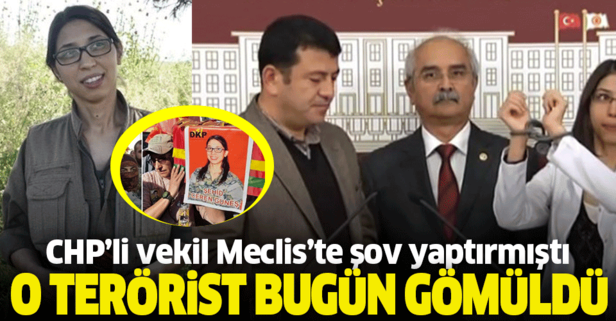 ak parti karşıtlarının ortak özelliği