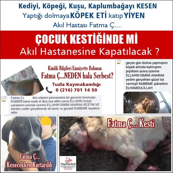 köpek etiyle dolma yapan kadın