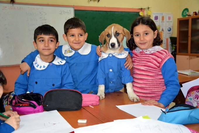 mezarlıkta bulunan fındık okulun maskotu oldu