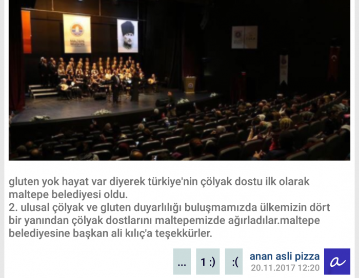 maltepe belediyesinin sözlükteki trolleri