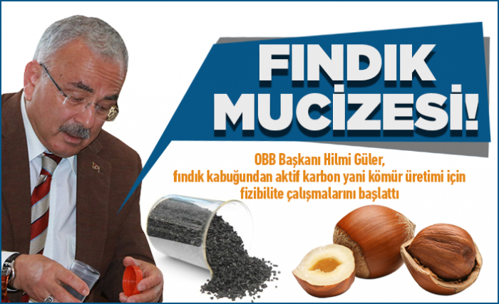 fındık kabuğundan aktif karbon üretilmesi