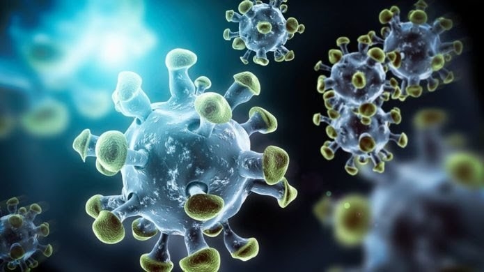 virüsün protein yapısınının müziğe dönüştürülmesi