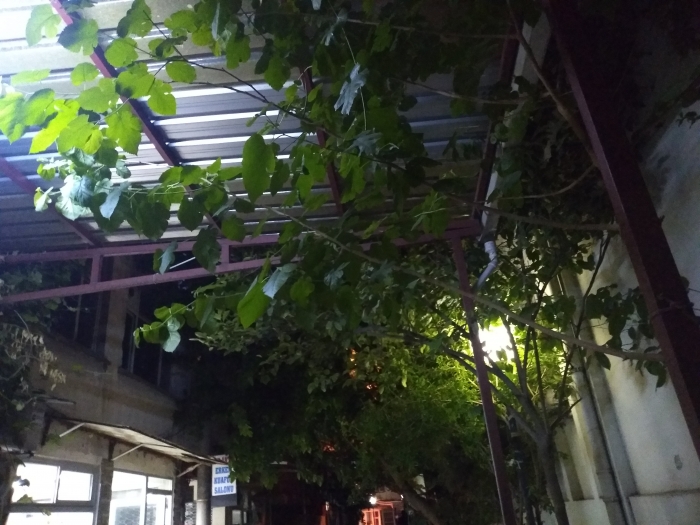 sabah sabah insanı mutlu eden şeyler