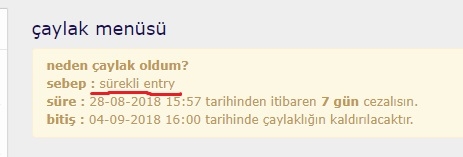 sürekli entry girmenin dayanılmaz hafifliği