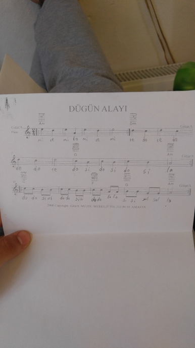 tek başına gitar öğrenmek