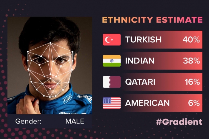 yüz hatlarından etnik kökeni gösteren uygulama