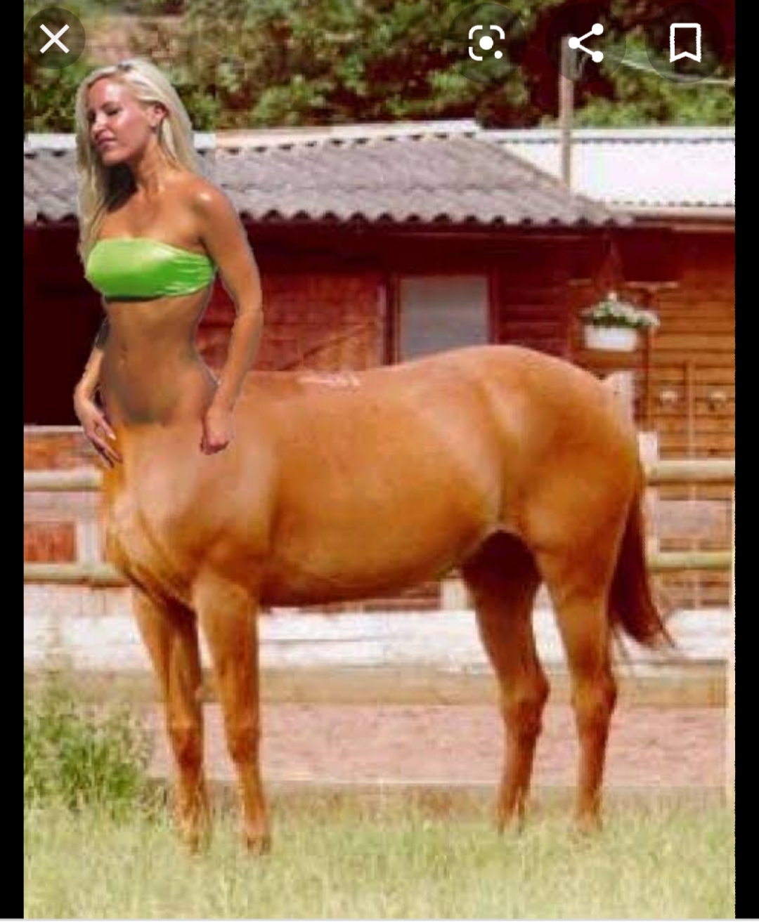 Гибрид женщины и лошади