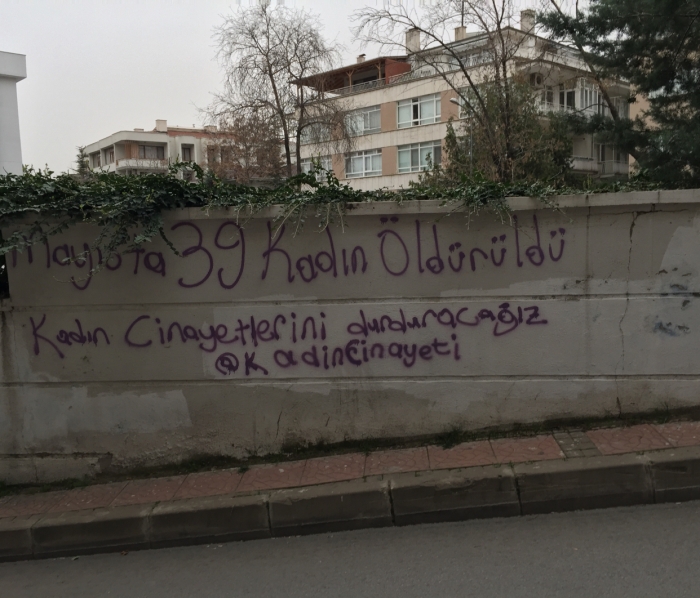 duvarları kirleten feminist