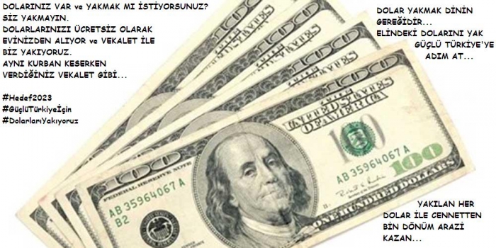 dolarlarınızı sizin için yakıyoruz