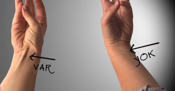 palmaris longus kası