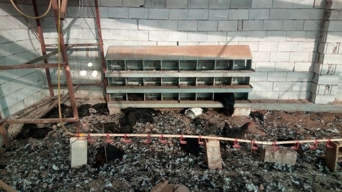 antalya daki çiftlik kredisi katliamı