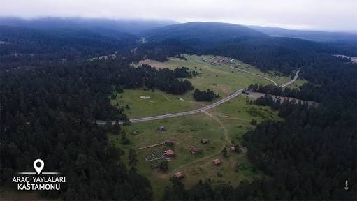 kastamonu da 20 dönümlük ormanın yanması