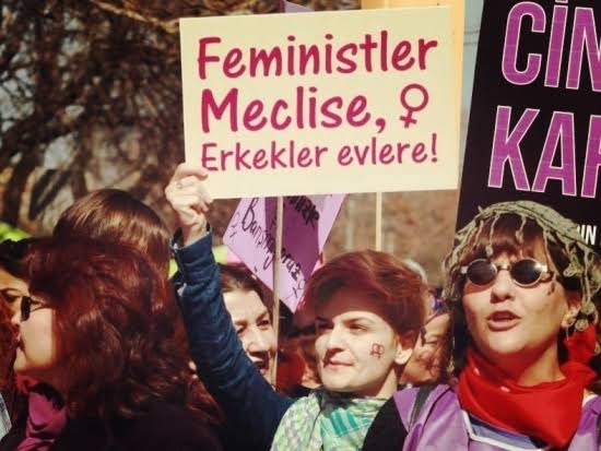 feministler meclise erkekler evlere