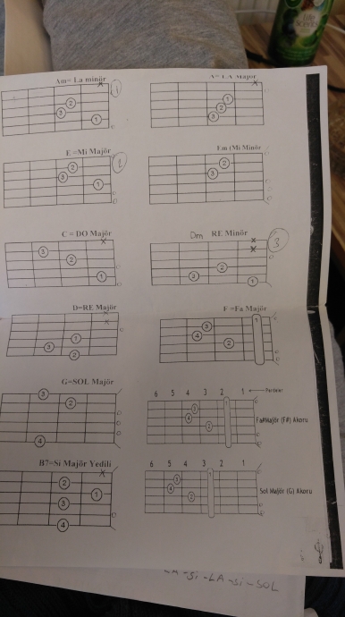 tek başına gitar öğrenmek