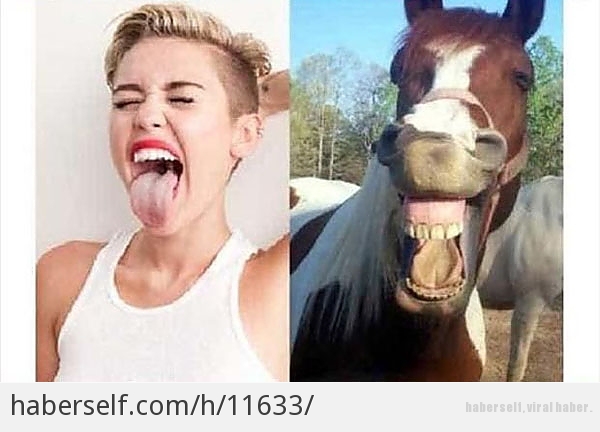 Miley Cyrus'un Kelimenin Tam Anlamıyla "At Gibi" Bir Kadın Olduğunu Kanıtlayan 14 Komik Kare