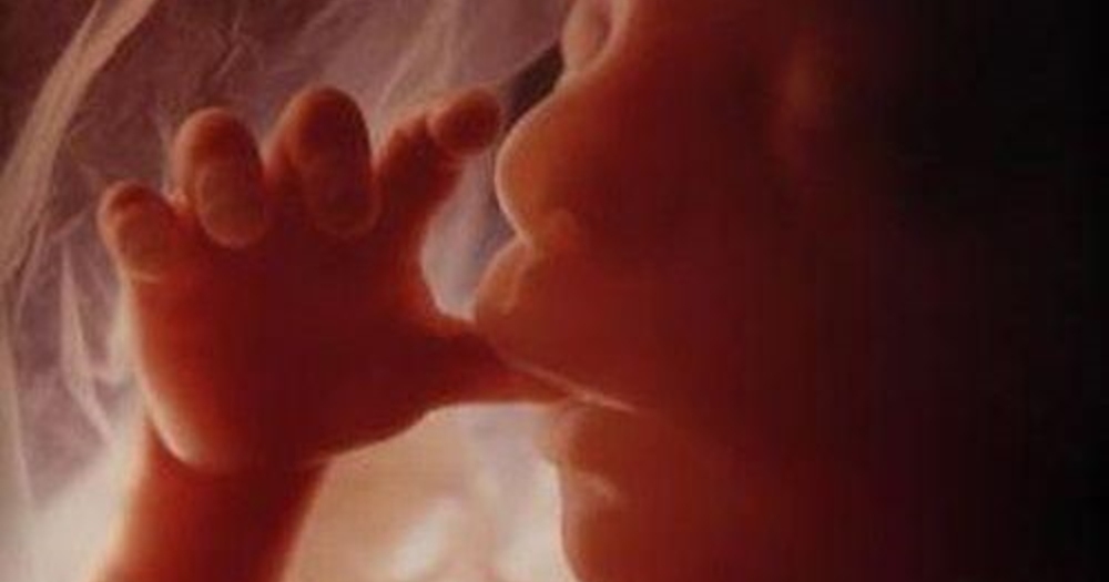 Hamilelik Süresi Boyunca Bebeğin Anne Karnındaki Her Halini Gösteren 12 Kare
