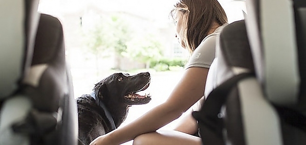 Ötanazi Edilecek Olan Köpeğin Dünyadaki Son Gününden 24 Yürek Burkan Fotoğraf