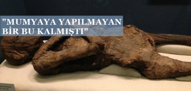2500 yıllık mumyaya tecavüz etti