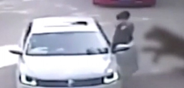 Çin'de Safari Parkındaki Kaplan Bir Kadını Yedi