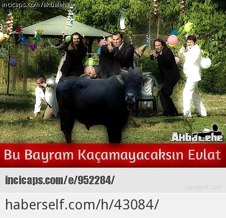 Yaklaşan Kurban Bayramı İle İlgili Yapılmış Hayli Komik ve Eğlenceli 27 Caps