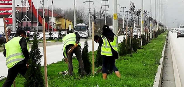 D-100 ağaçlandırılıyor!