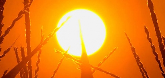 İnsanın Resmen Eridiği Bu Cehennem Sıcaklarında Serinleyebilmek İçin 10 Garanti Yöntem