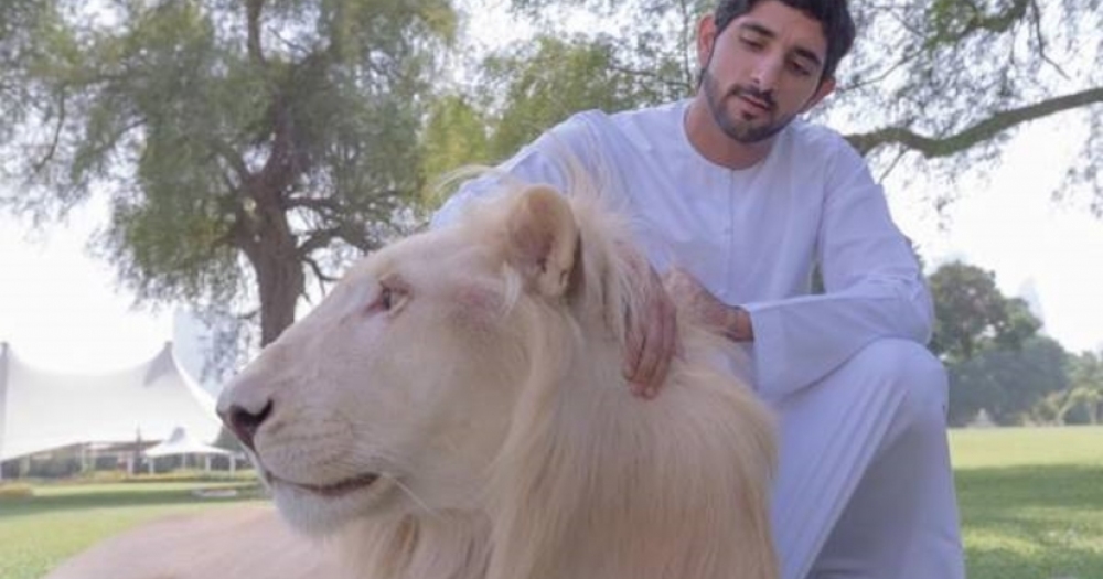 Dubai'nin Veliaht Prensinin Günlük ve Sıradan Hayatından