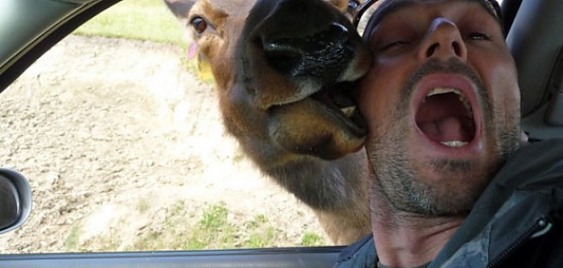 Selfie Çekme Olayını Bir Basamak Üste Taşımış 21 Tuhaf Fotoğraf Meraklısı
