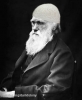 dedenin resmini kaldırıp darwin resmi asmak / #1785059