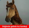 düğünde gelinin kız kardeşi / #1014472