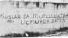 gecenin duvar yazısı / #1036385