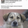 nasıl hissediyorsun