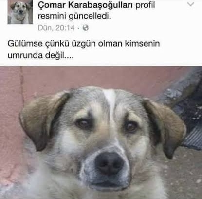 nasıl hissediyorsun