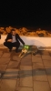 internetten tanıştığı kızın üzerine pitbull salmak / #2258235