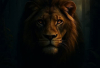 aslan / #2426056