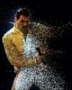 freddie mercury