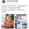 günün alakasız fotoğrafı