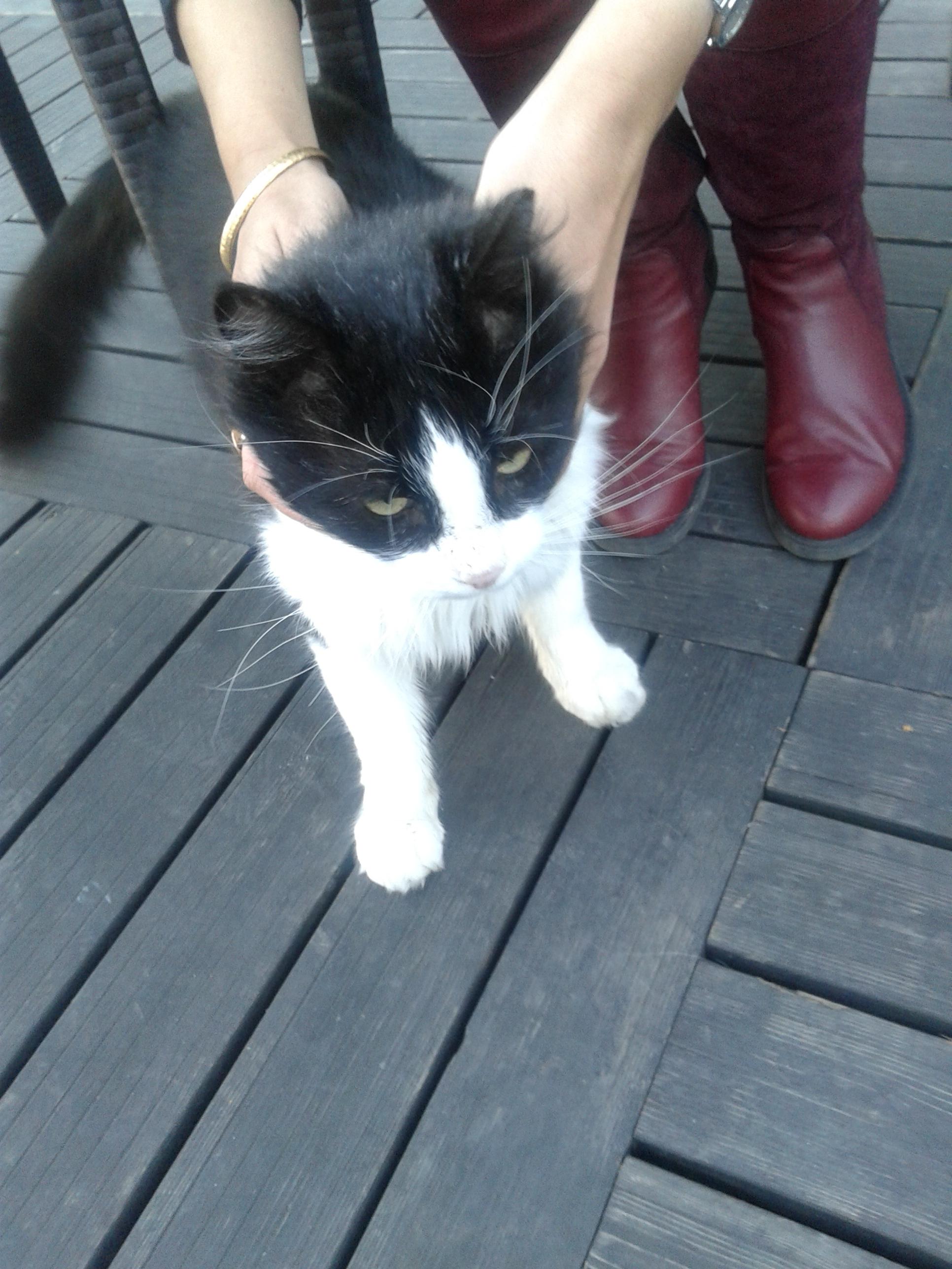 Olgun kadın genç erkek sex