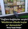 rte nin ülkesinde kimsenin açlıktan ölmemesi / #1978305