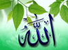 allah / #2426035