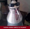 erkeklerin aptal varlıklar olması / #1200496