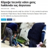 köpeğe tecavüz eden 16 yaşındaki genç / #1647843