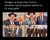 ne görüyorsunuz / #2261236