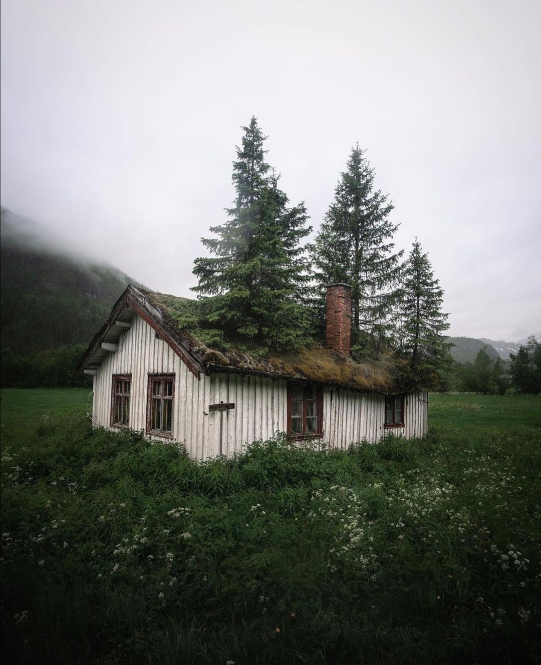 ormanın ortasındaki terk edilmiş kulübe