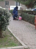 park köşelerinde dile dil veren türbanlı / #1793575