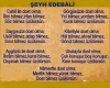 şeyh edebali